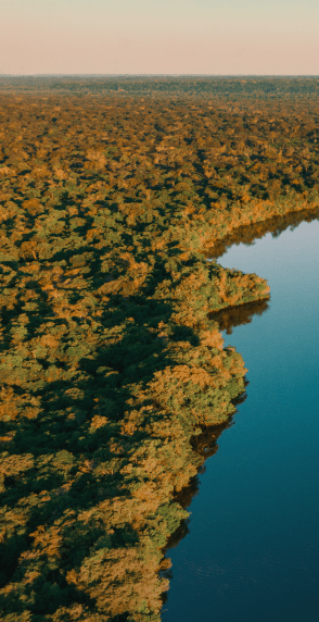 Image without alt